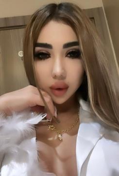 Sheyha